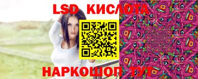 ECSTASY Новодвинск
