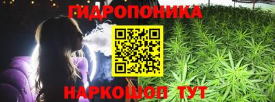 ECSTASY Новодвинск