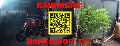ECSTASY Новодвинск