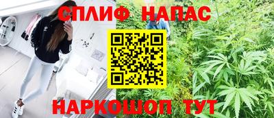 ECSTASY Новодвинск