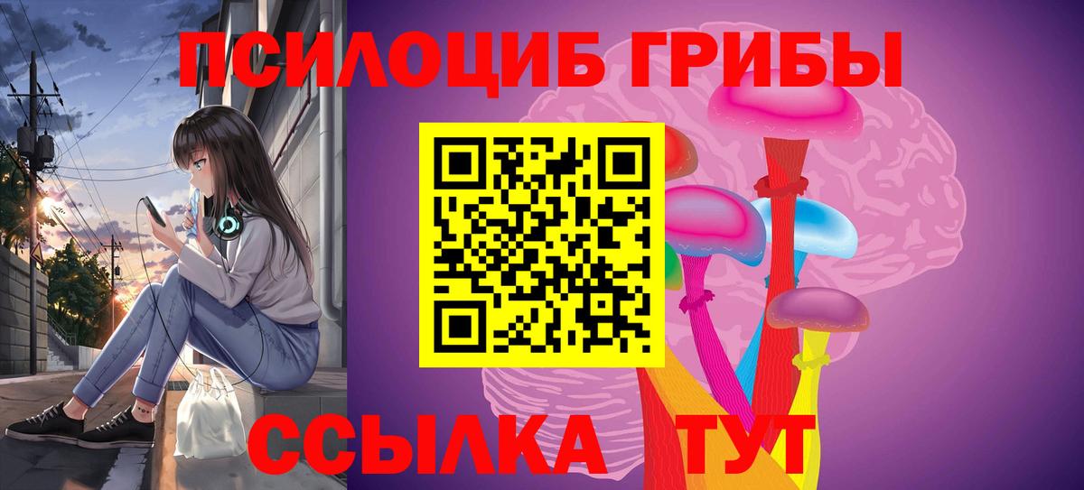 Галлюциногенные грибы Psilocybe  где купить наркоту  Тосно  Вход с VPN 